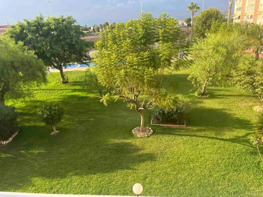 Casa Di Mateo With Garden View And Swimming Pool Daire Torrevieja Dış mekan fotoğraf