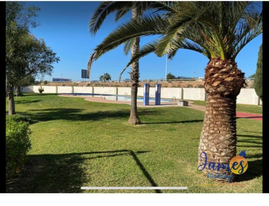 Casa Di Mateo With Garden View And Swimming Pool Daire Torrevieja Dış mekan fotoğraf