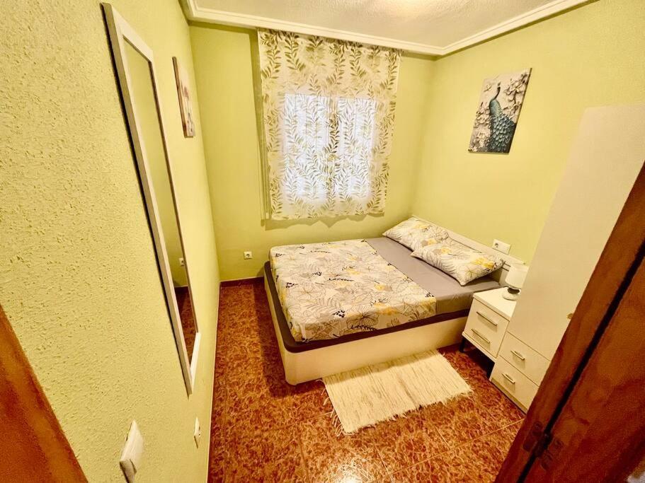 Casa Di Mateo With Garden View And Swimming Pool Daire Torrevieja Dış mekan fotoğraf